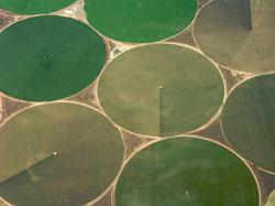 Irrigation pivots in the desert. ​Author: Sam Beebe